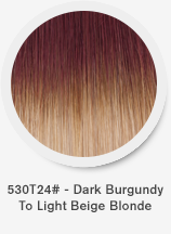 530t24-dark-burgundy-to-light-beige-blonde.png